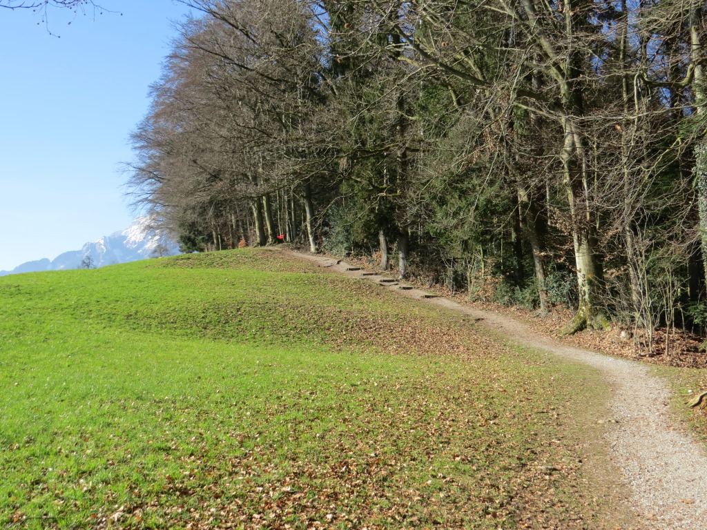 beim Aussichtspunkt Oberhasli finden wir noch eine freie Sitzbank