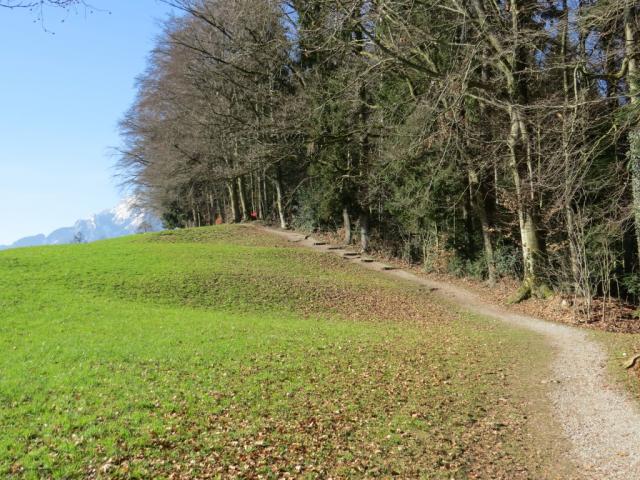 beim Aussichtspunkt Oberhasli finden wir noch eine freie Sitzbank