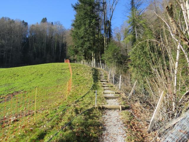 bei Schwändli steigt der Weg steil an