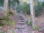 weiterhin steil führt uns nun der Wanderweg durch den Wald...