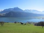 mit einem traumhaften Panorama auf den Alpnachersee steigen wir weiter abwärts
