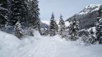 Schneeschuhtour Griesalp - Bundstäg - Lerchböde - Griesalp 2.3.2019