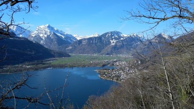 was für ein Panorama! Rautispitz, Tierberg, Fridlispitz, Hirzli, Walensee und Weesen