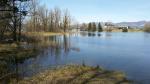 der schöne Weiher von Unterhirschlen bei Reichenburg