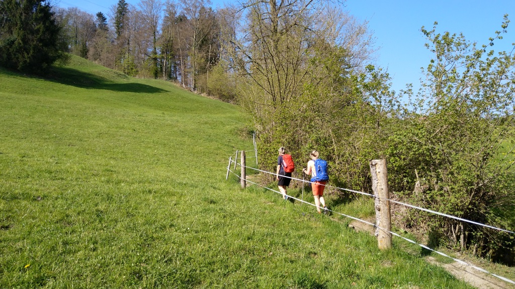 ab Steinegg oberhalb von Lachen, geht es nur noch aufwärts