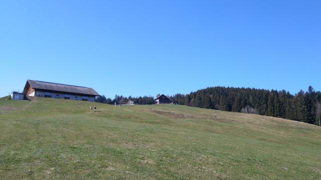 auf dem Weg Richtung Diebishütten. Wir schon vorher erwähnt weiterhin alles aufwärts