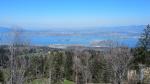 einfach traumhaft die Aussicht auf den Zürichsee mit Seedamm