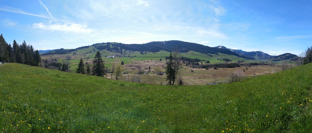 zwischen Rothenthurm und Biberbrugg erstreckt sich das grösste Hochmoor der Schweiz