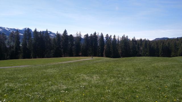 ...und blicken zu den Zentralschweizer Berge