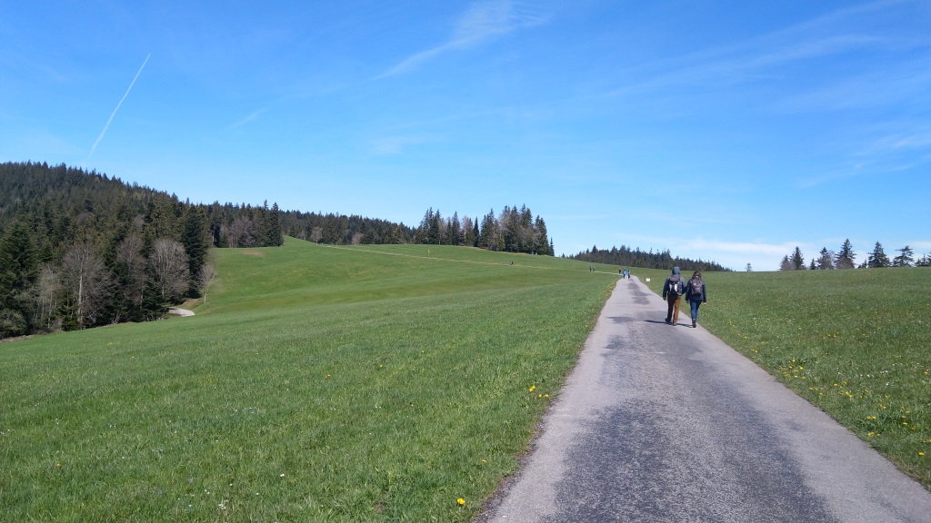 der Wanderweg führt uns nun über die Alpweiden von Salen. Hier oben ist das Panorama unglaublich schön