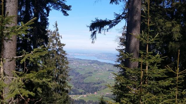 rechts von uns taucht der Zürichsee auf. Der Blick reicht bis nach Zürich