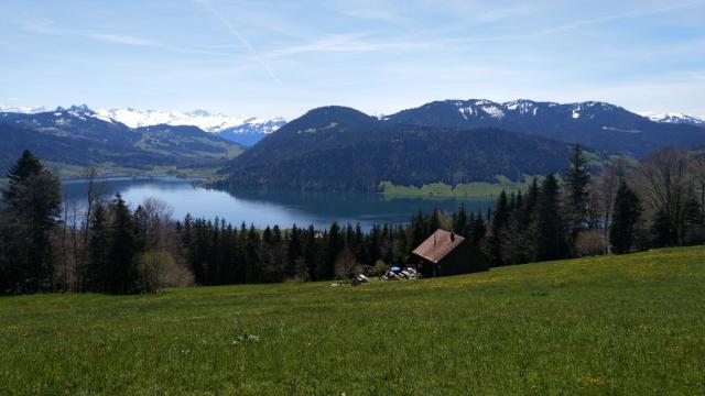 bei der Wanderhütte Grümel mit Blick auf den Ägerisee