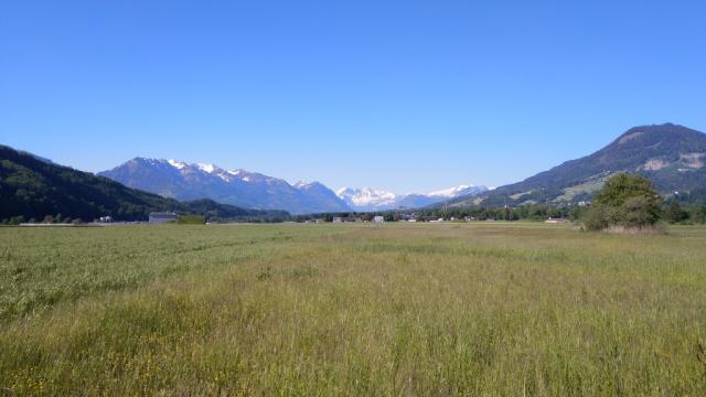 wir überqueren das Hinteres Städerried und blicken Richtung Berner Alpen