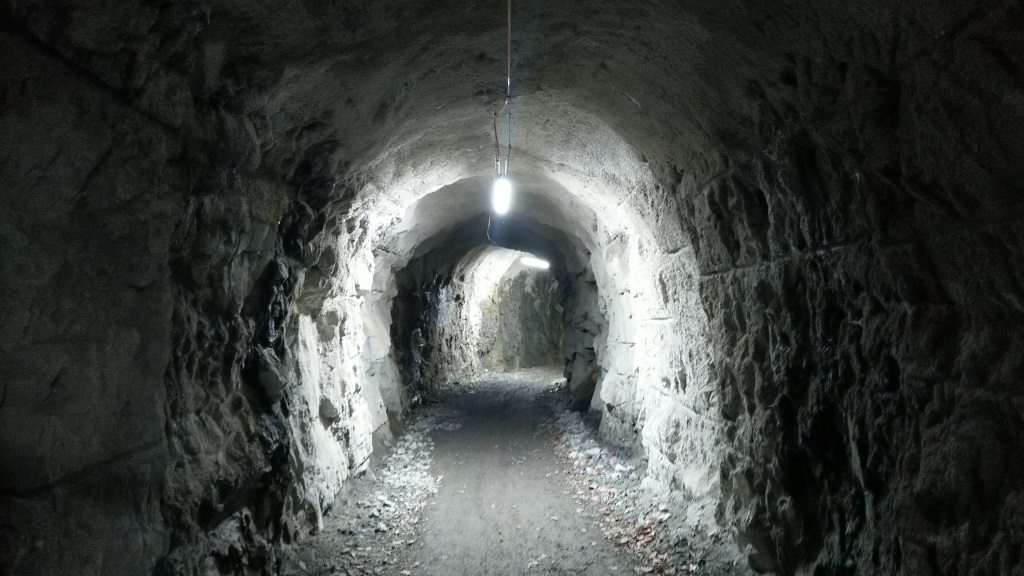 1975 wurde in der Rotzschlucht das erste Käsereifungslager der Schweiz eingerichtet