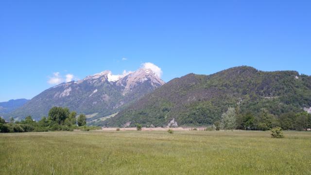 über den Stansstader Ried blicken wir zum Pilatus