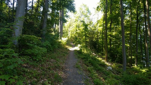 weiter durch den Wald geht es hinauf nach Schiltweid