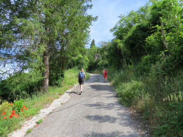 ...hinauf zur Strasse die nach Labro führt