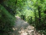 über einen schön angelegten Wanderweg wandern wir im Halbschatten