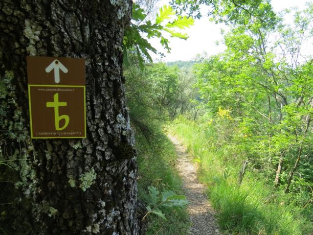 zeitgleich wandern wir auch auf dem San Benedetto Weg