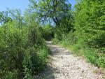 der schöne Wanderweg führt uns nun zum Höhepunkt der heutigen Etappe