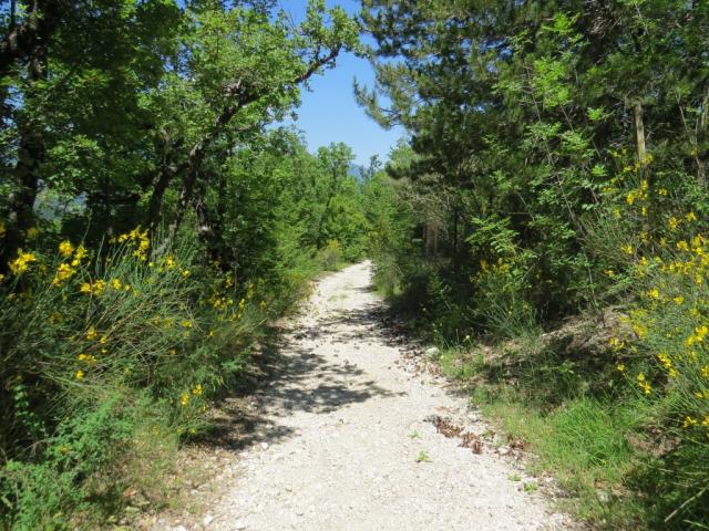 auch heute wieder eine sehr schöne Etappe, wie die meisten auf der Via San Francesco