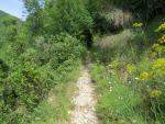 über einen Wanderweg oberhalb der Klosteranlage verlassen wir Greccio