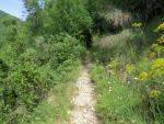 über einen Wanderweg oberhalb der Klosteranlage verlassen wir Greccio