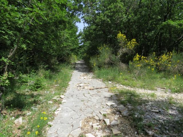 der Wanderweg führt stellenweise verblüffend geradeaus dahin