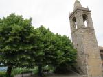 bei der Michaelskirche im Zentrum der Altstadt stehen diverse Lindenbäume