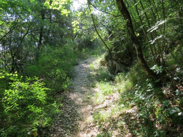 der schöne Wanderweg führt nun leicht aufwärts