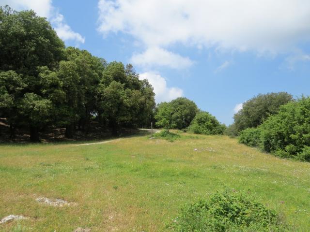 oben angekommen finden wir uns auf einer parkähnlichen Wiese