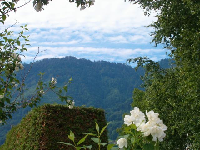 Blick Richtung Planggenstock