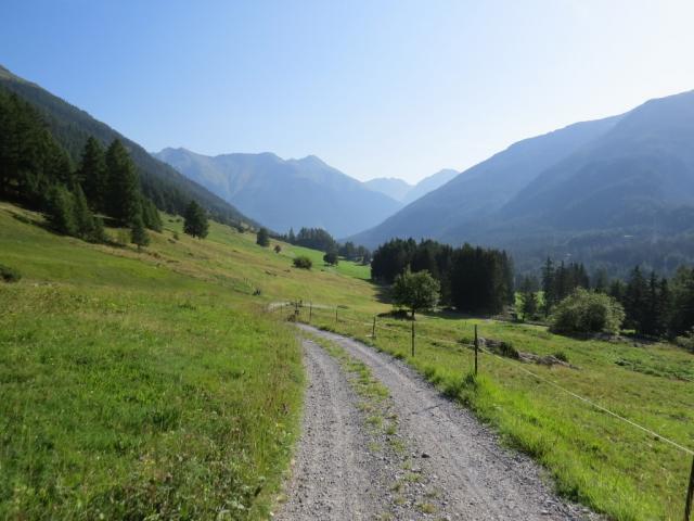 ...und offene Weideflächen