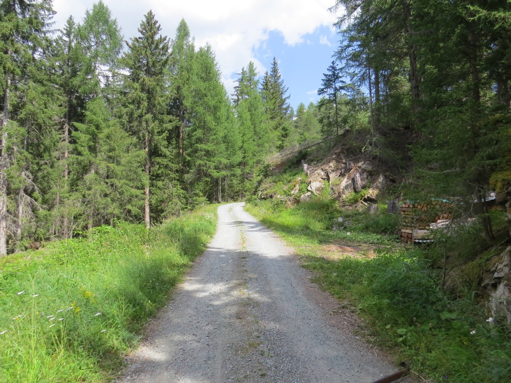 über Pradatsch führt die via Engiadina nun steiler durch den Wald von God Surpunt