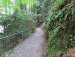 teilweise führt der Felsenweg durch den Wald