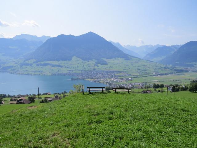 mit Blick auf das Buochserhorn, verlassen wir den Wald