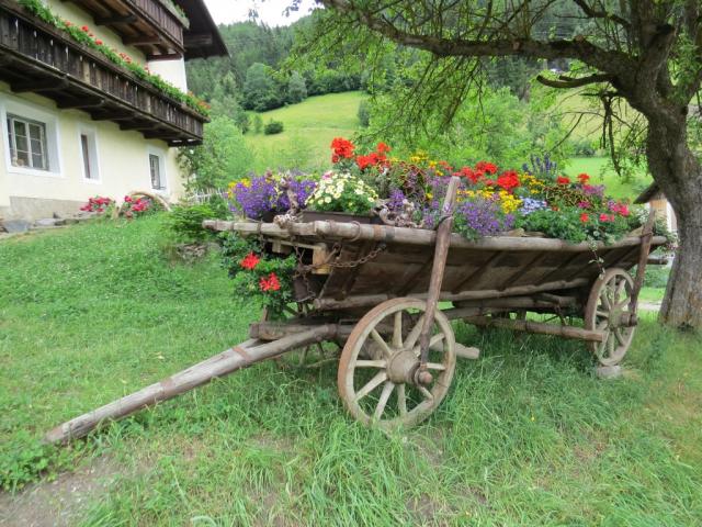 wir bewundern die vielen einladenden Bauernhäuser mit leuchtenden Blumen