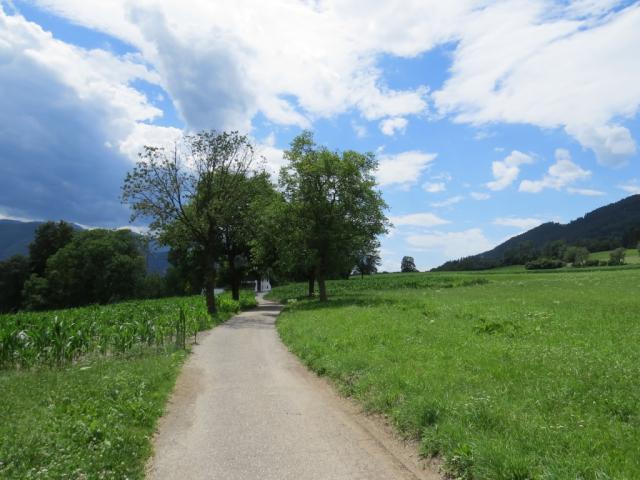 ...verbindet die 63 km langen Sonnenhänge zwischen Bozen und Brixen. Wir werden die nächsten Tagen also auch...