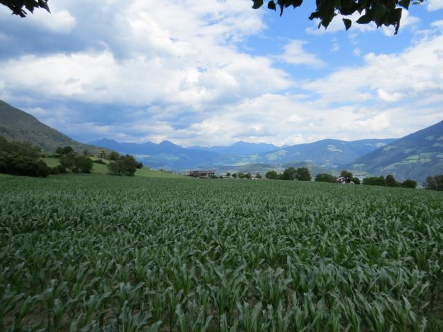 ...über den sehr schönen Kastanienweg wandern