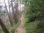 der schöne Höhenweg führt uns durch Kastanien- und Tannenwald