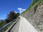 schweisstreibend führt der Wanderweg aufwärts