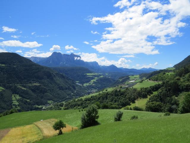 der Rosengarten rückt näher