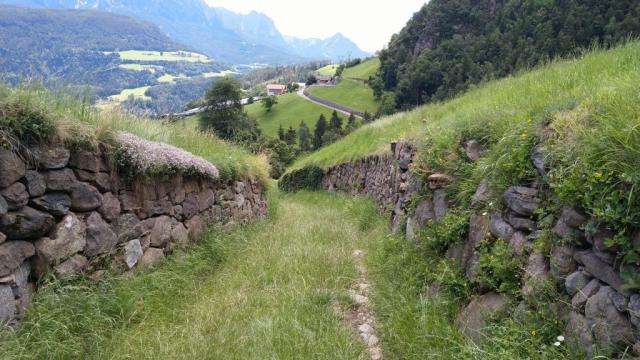 über einen schönen Hohlweg verlassen wir Saubach