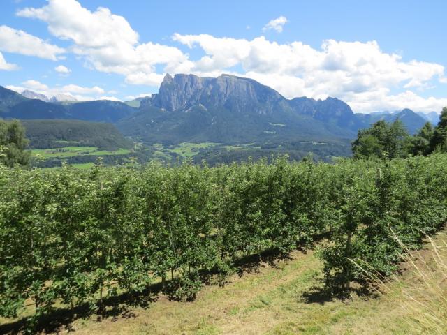 der Rosengarten/Catinaccio rückt näher