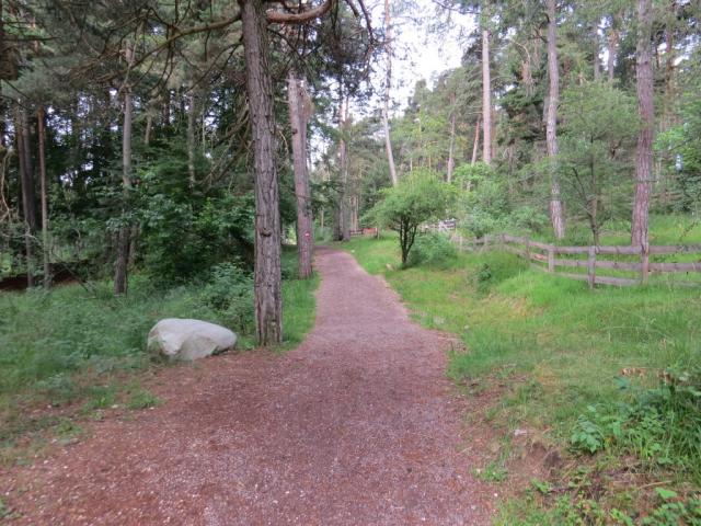 ...die uns über einen schönen Waldweg...