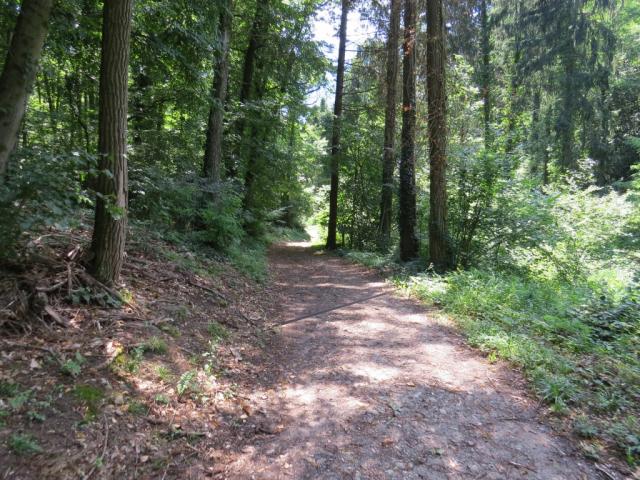 wir folgen das Tal, das uns nach St.Josef am Kalterer See führen wird