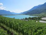 vor uns taucht der Kalterer See-Lago di Caldaro auf