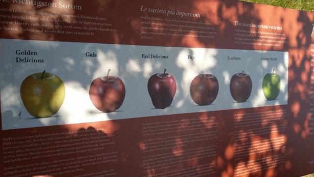 Infotafeln erklären uns die Apfelsorten die in dieser Gegend angepflanzt werden