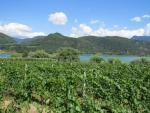 links von uns der Kalterer See-Lago di Caldaro