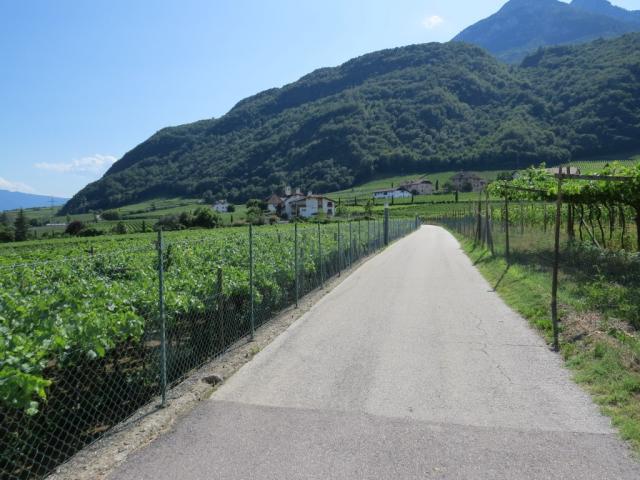 unser nächstes Ziel und gleichzeitig Tagesziel lautet nun Tramin-Termeno an der Weinstrasse